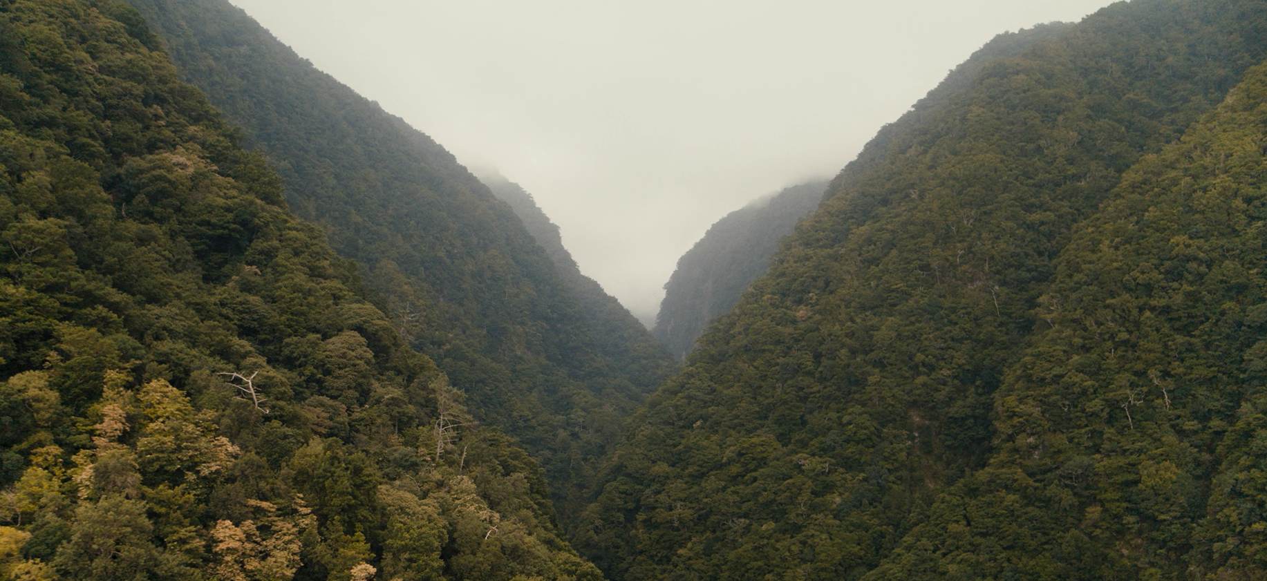  جوهر ویستا تیزرو